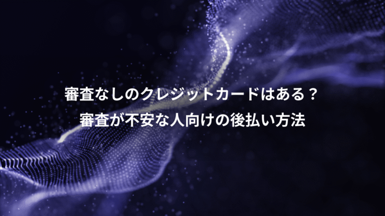 審査なしのクレジットカードはある?、審査が不安な人向けの後払い方法